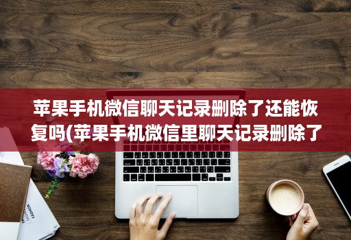 苹果手机微信聊天记录删除了还能恢复吗(苹果手机微信里聊天记录删除了还能恢复吗 )