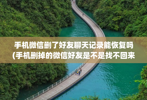 手机微信删了好友聊天记录能恢复吗(手机删掉的微信好友是不是找不回来了 )