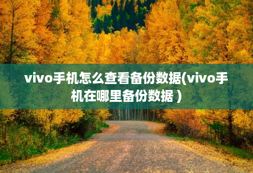 vivo手机怎么查看备份数据(vivo手机在哪里备份数据 )