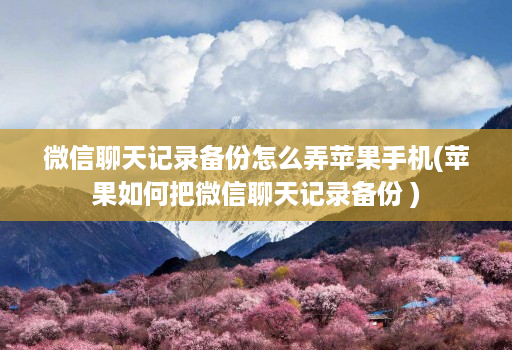 微信聊天记录备份怎么弄苹果手机(苹果如何把微信聊天记录备份 )
