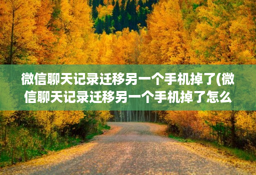 微信聊天记录迁移另一个手机掉了(微信聊天记录迁移另一个手机掉了怎么找回 )