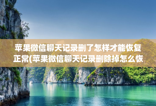 苹果微信聊天记录删了怎样才能恢复正常(苹果微信聊天记录删除掉怎么恢复回来 )