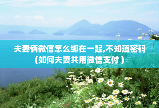 夫妻俩微信怎么绑在一起,不知道密码(如何夫妻共用微信支付 )