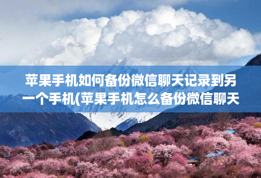 苹果手机如何备份微信聊天记录到另一个手机(苹果手机怎么备份微信聊天记录到另一个苹果手机 )