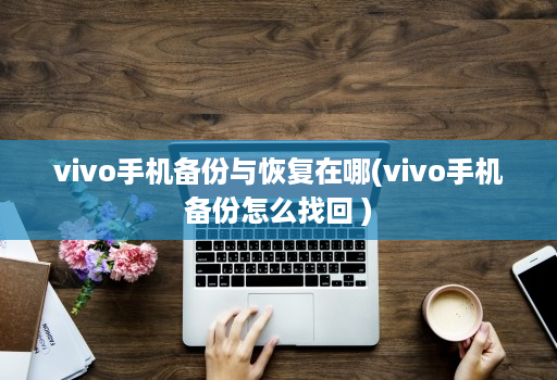 vivo手机备份与恢复在哪(vivo手机备份怎么找回 )