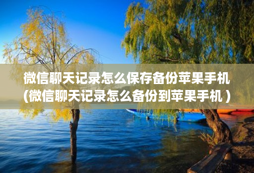 微信聊天记录怎么保存备份苹果手机(微信聊天记录怎么备份到苹果手机 )