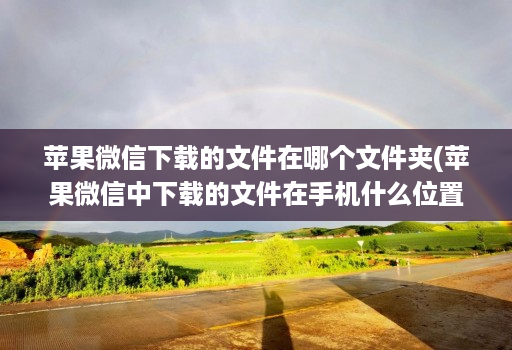 苹果微信下载的文件在哪个文件夹(苹果微信中下载的文件在手机什么位置 )