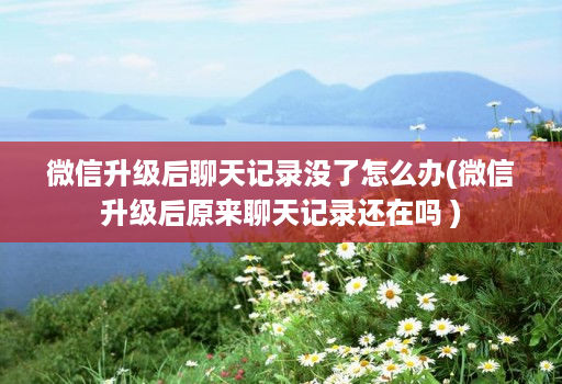 微信升级后聊天记录没了怎么办(微信升级后原来聊天记录还在吗 )