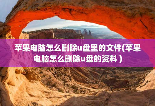 苹果电脑怎么删除u盘里的文件(苹果电脑怎么删除u盘的资料 )