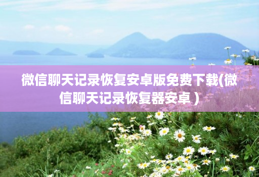 微信聊天记录恢复安卓版免费下载(微信聊天记录恢复器安卓 )