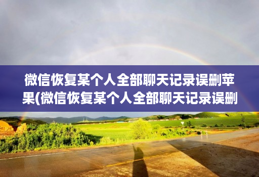 微信恢复某个人全部聊天记录误删苹果(微信恢复某个人全部聊天记录误删苹果怎么办 )
