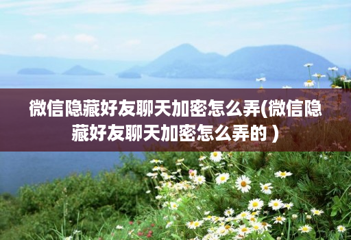 微信隐藏好友聊天加密怎么弄(微信隐藏好友聊天加密怎么弄的 )