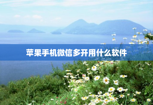 苹果手机微信多开用什么软件