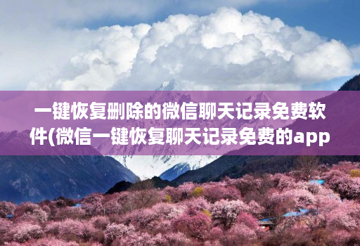 一键恢复删除的微信聊天记录免费软件(微信一键恢复聊天记录免费的app )
