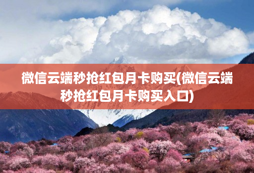 微信云端秒抢红包月卡购买(微信云端秒抢红包月卡购买入口)