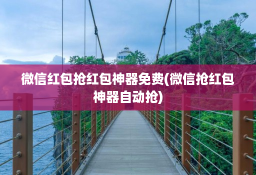 微信红包抢红包神器免费(微信抢红包神器自动抢)
