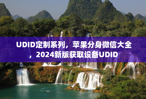 UDID定制系列，苹果分身微信大全，2024新版获取设备UDID