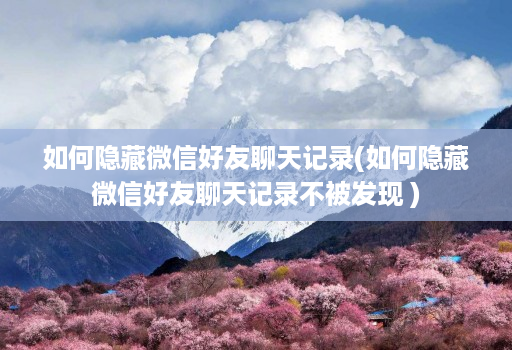 如何隐藏微信好友聊天记录(如何隐藏微信好友聊天记录不被发现 )