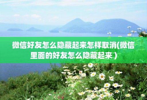 微信好友怎么隐藏起来怎样取消(微信里面的好友怎么隐藏起来 )