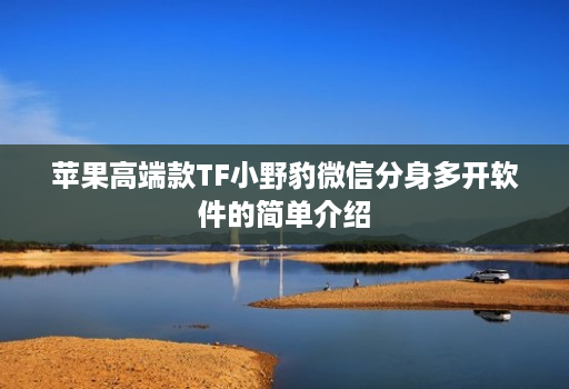 苹果高端款TF小野豹微信分身多开软件的简单介绍