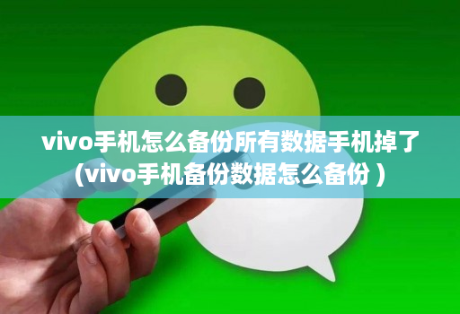 vivo手机怎么备份所有数据手机掉了(vivo手机备份数据怎么备份 )
