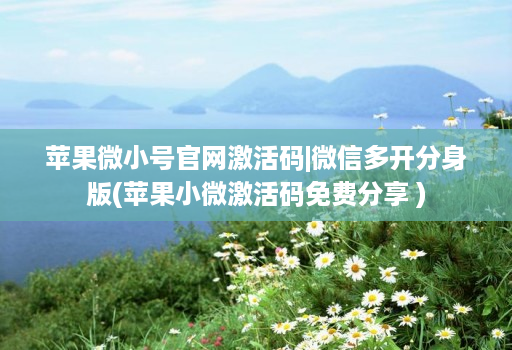 苹果微小号官网激活码|微信多开分身版(苹果小微激活码免费分享 )