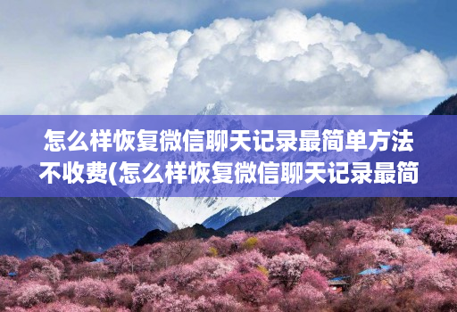 怎么样恢复微信聊天记录最简单方法不收费(怎么样恢复微信聊天记录最简单方法不收费的软件 )