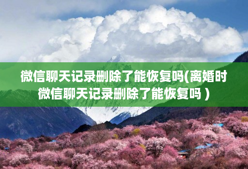 微信聊天记录删除了能恢复吗(离婚时微信聊天记录删除了能恢复吗 )