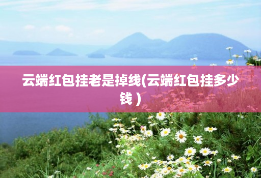 云端红包挂老是掉线(云端红包挂多少钱 )