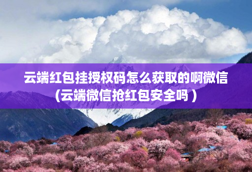 云端红包挂授权码怎么获取的啊微信(云端微信抢红包安全吗 )