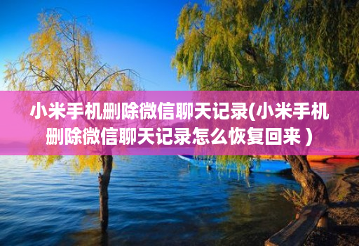 小米手机删除微信聊天记录(小米手机删除微信聊天记录怎么恢复回来 )