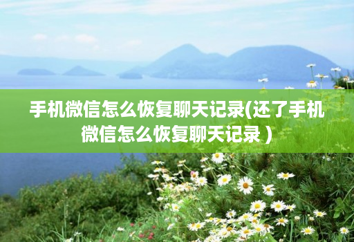 手机微信怎么恢复聊天记录(还了手机微信怎么恢复聊天记录 )