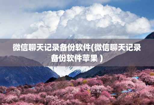 微信聊天记录备份软件(微信聊天记录备份软件苹果 )