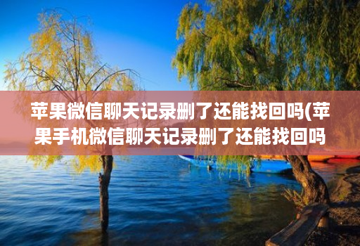 苹果微信聊天记录删了还能找回吗(苹果手机微信聊天记录删了还能找回吗 )