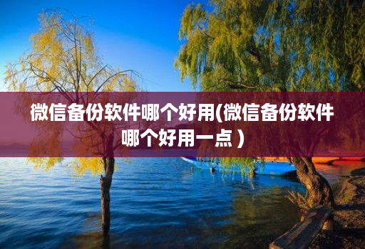 微信备份软件哪个好用(微信备份软件哪个好用一点 )