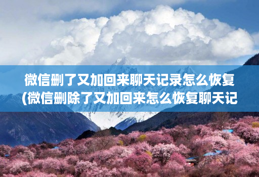 微信删了又加回来聊天记录怎么恢复(微信删除了又加回来怎么恢复聊天记录 )