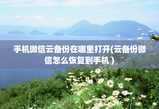 手机微信云备份在哪里打开(云备份微信怎么恢复到手机 )