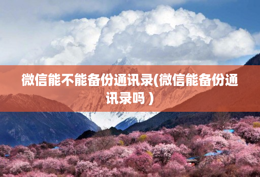 微信能不能备份通讯录(微信能备份通讯录吗 )