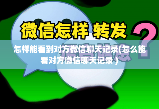 怎样能看到对方微信聊天记录(怎么能看对方微信聊天记录 )