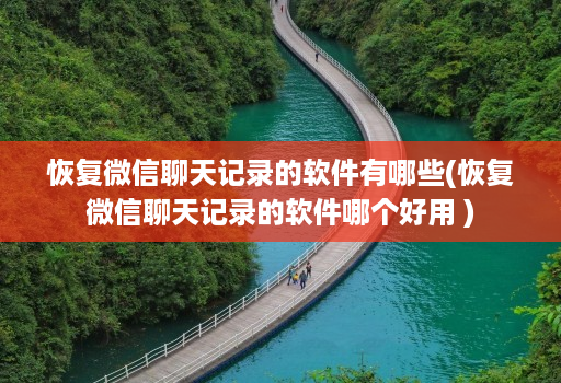 恢复微信聊天记录的软件有哪些(恢复微信聊天记录的软件哪个好用 )
