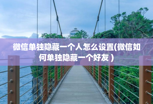 微信单独隐藏一个人怎么设置(微信如何单独隐藏一个好友 )