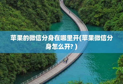 苹果的微信分身在哪里开(苹果微信分身怎么开? )