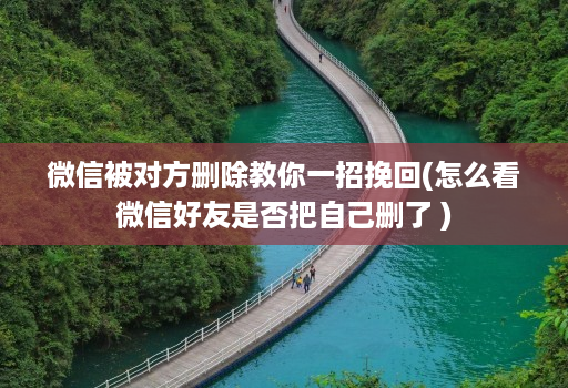 微信被对方删除教你一招挽回(怎么看微信好友是否把自己删了 )