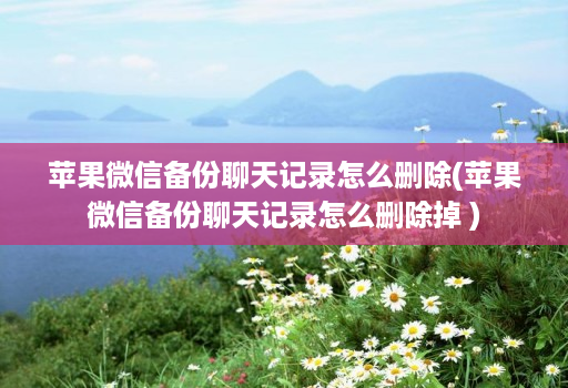 苹果微信备份聊天记录怎么删除(苹果微信备份聊天记录怎么删除掉 )