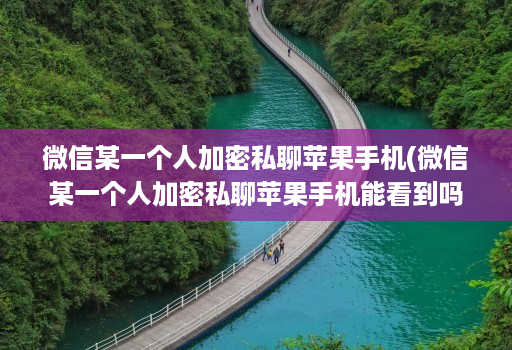 微信某一个人加密私聊苹果手机(微信某一个人加密私聊苹果手机能看到吗 )
