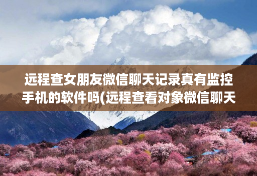 远程查女朋友微信聊天记录真有监控手机的软件吗(远程查看对象微信聊天软件有哪些 )