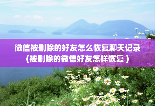 微信被删除的好友怎么恢复聊天记录(被删除的微信好友怎样恢复 )
