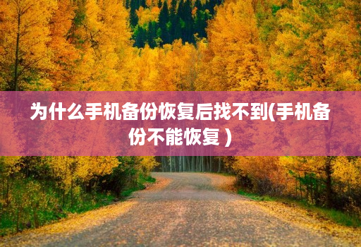 为什么手机备份恢复后找不到(手机备份不能恢复 )