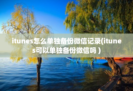 itunes怎么单独备份微信记录(itunes可以单独备份微信吗 )
