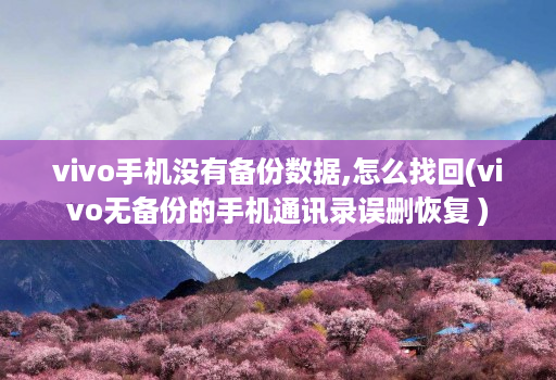 vivo手机没有备份数据,怎么找回(vivo无备份的手机通讯录误删恢复 )